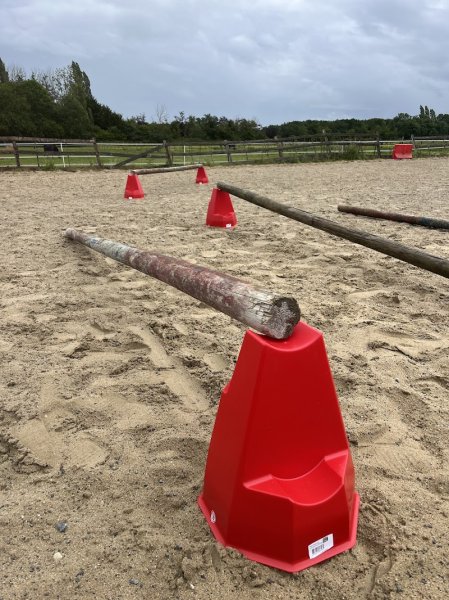 Ecurie Rosemonde - photo 2
