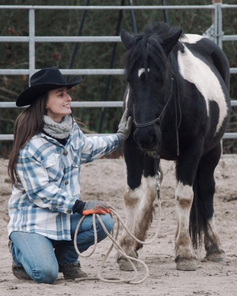 BVL HORSE TRAINING - photo 1