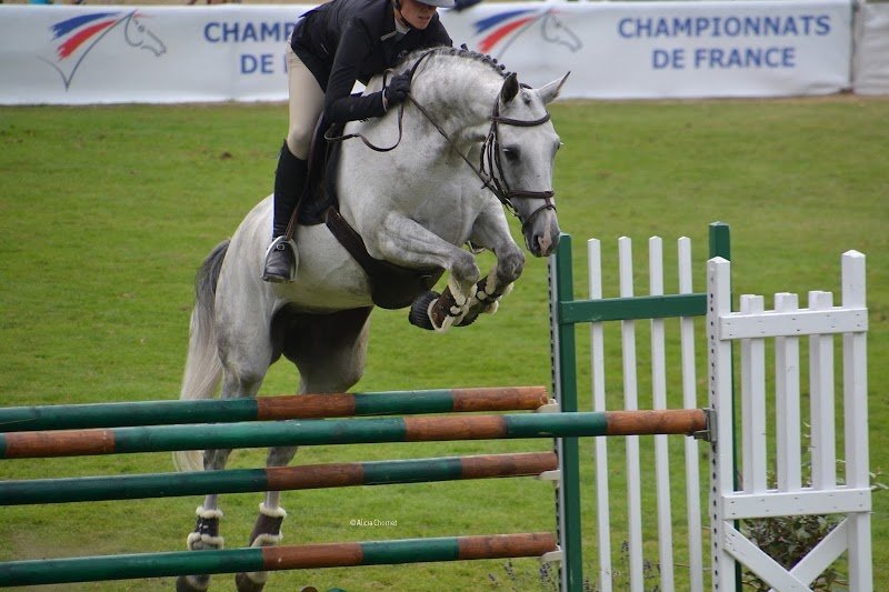 Le P'tit Haras - photo 3