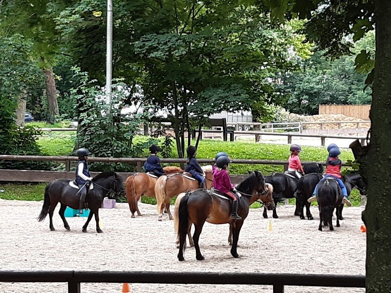 PONEY CLUB DE BRIMBORION - photo 1