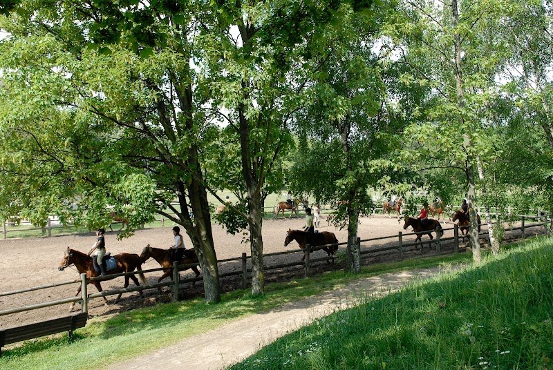 Poney Club de l’Île Saint-Germain - photo 3