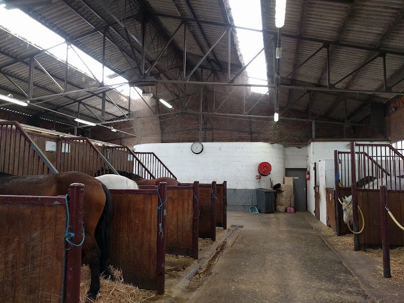 Association du Centre Equestre de Gennevilliers - photo 3