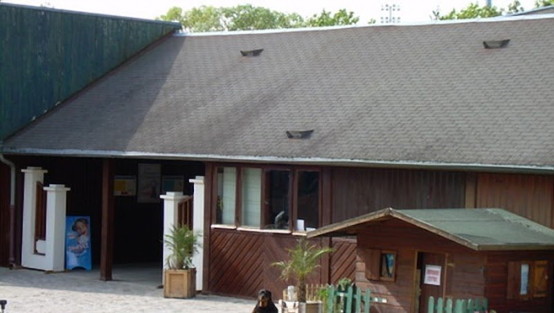 CLUB EQUESTRE D ANTONY - photo 1