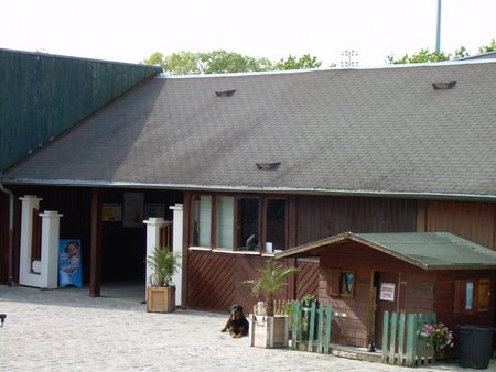 CLUB EQUESTRE D ANTONY - photo 2