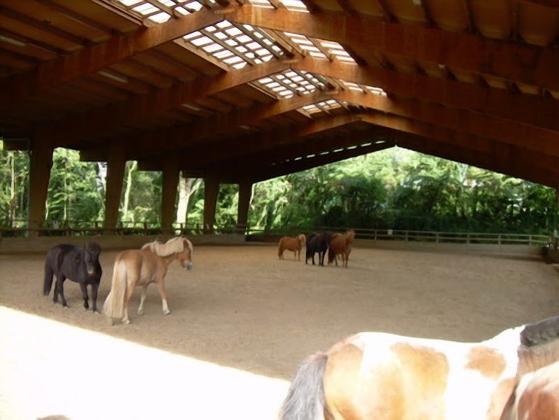 CLUB EQUESTRE D ANTONY - photo 3