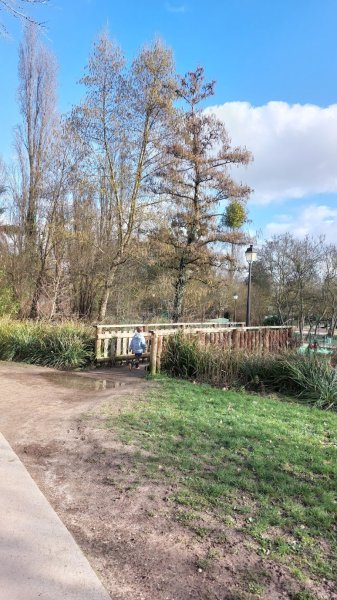 Poneyland Antony - photo 2