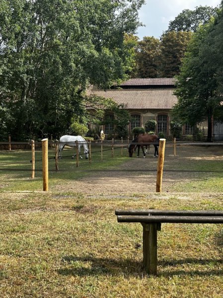 Centre Équestre du Parc de la Poudrerie (CEPP) - photo 3