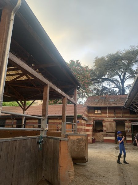 Cercle Hippique du Bois de Vincennes - Ecole d'équitation / Pas de balade - photo 3