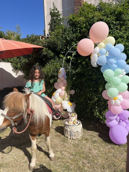 CENTRE EQUESTRE DE MONTFERMEIL - photo 2