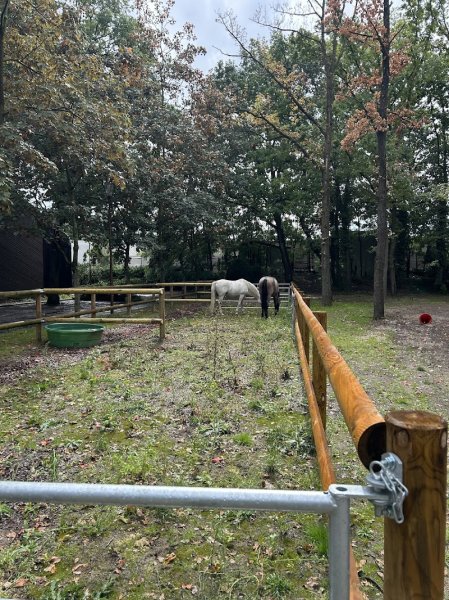 CENTRE EQUESTRE DE MONTFERMEIL - photo 3