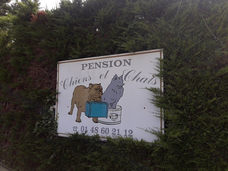 Pension Chez Jojo - photo 1