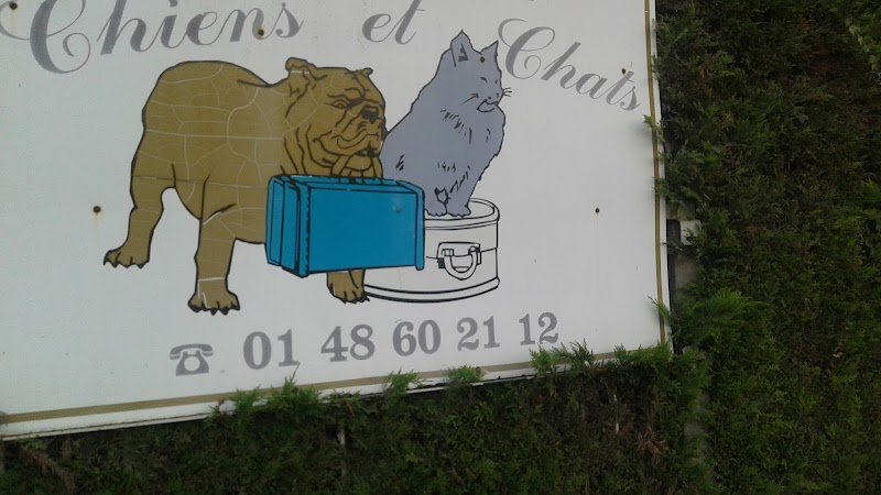 Pension Chez Jojo - photo 2