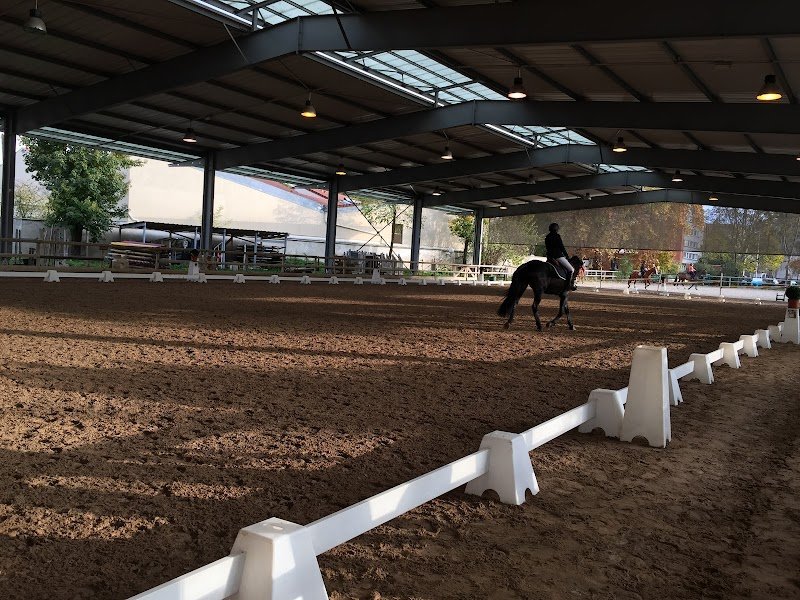 SHEVA Pôle équestre Paris Val-de-Marne - photo 2