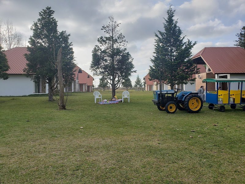 Poneyland de Thiais - photo 2