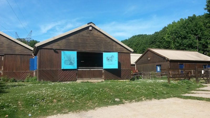 Poneyland de Thiais - photo 3