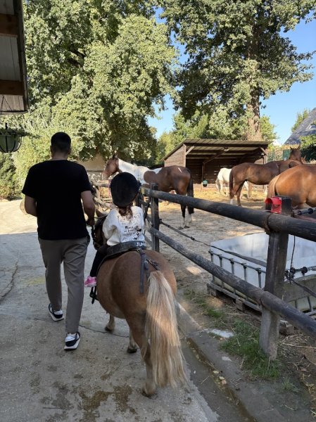 Poney Club de Sucy - photo 2