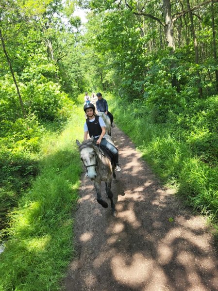 Poney Club de Sucy - photo 3