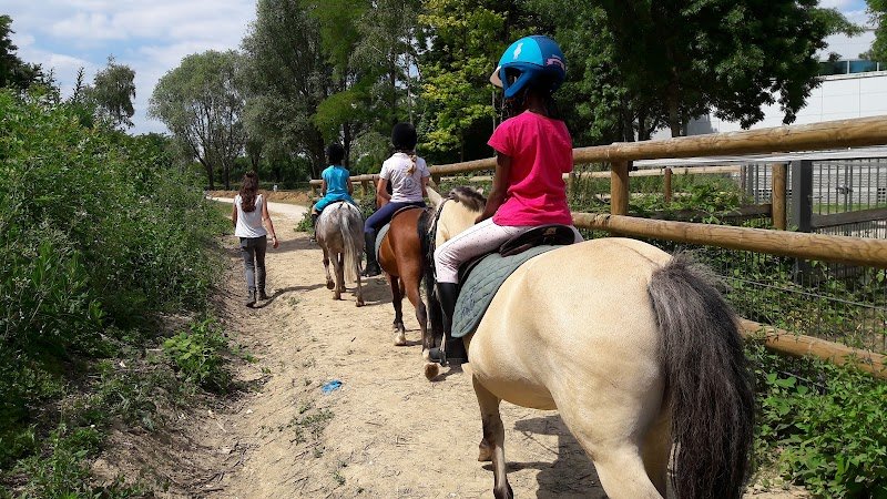 Centre Équestre Municipal d'Orly - photo 3