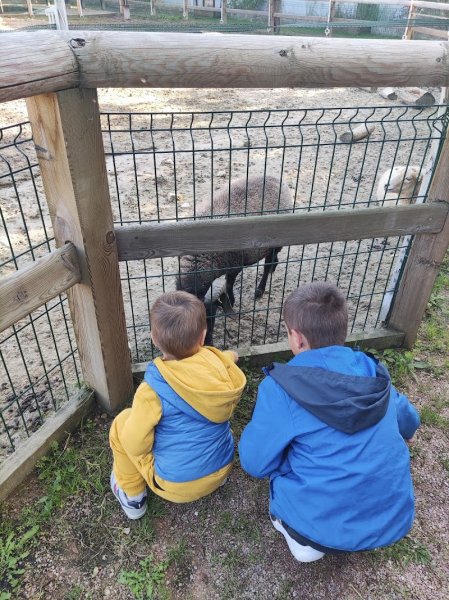 Mini ferme pédagogique du centre équestre de Bry sur Marne - photo 3