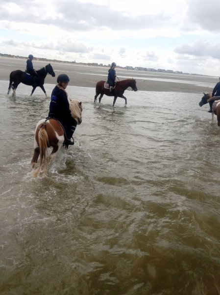 Centre équestre des Tilleuls - photo 1