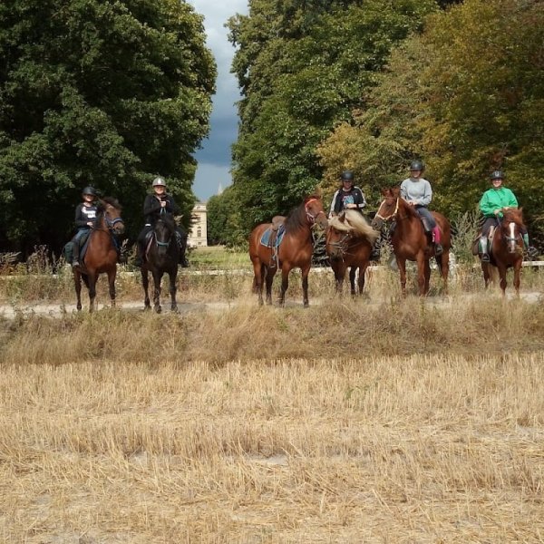 Centre équestre des Tilleuls - photo 2