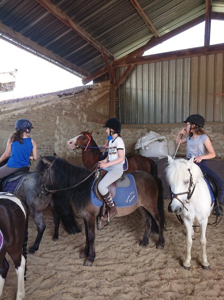 Centre équestre des Tilleuls - photo 3