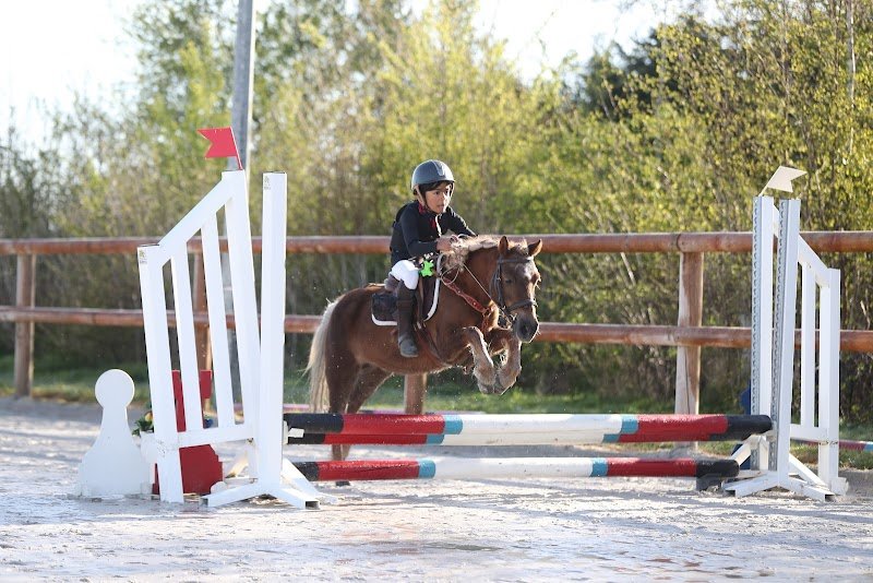 Centre-Equestre de Montmagny - photo 1