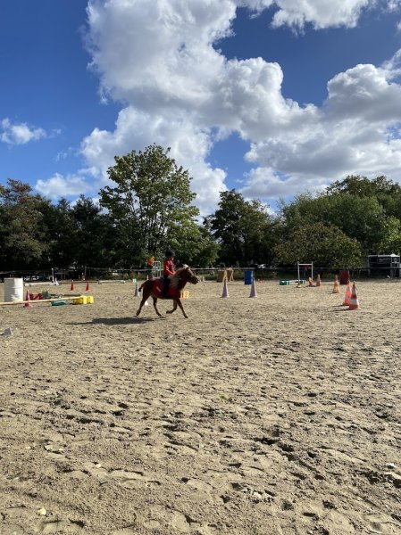 Centre-Equestre de Montmagny - photo 3