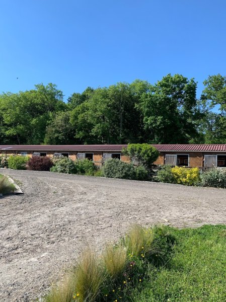 dsb dressage - écurie brieussel - photo 1