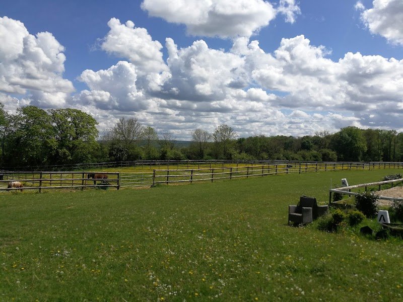 dsb dressage - écurie brieussel - photo 2