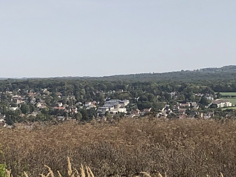 dsb dressage - écurie brieussel - photo 3