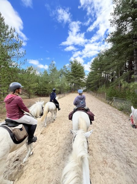 CB Tourisme Equestre - photo 3