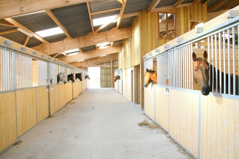 Ecuries des Bas Marquets - photo 1