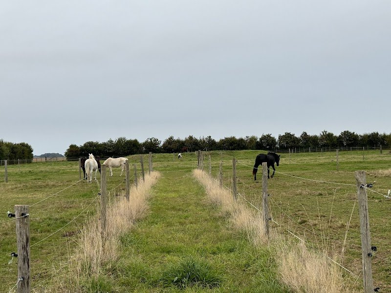 Ecuries des Bas Marquets - photo 2