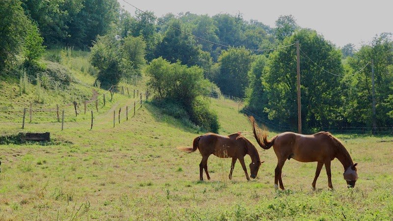 Domaine Equestre du Fil de l'Eau - photo 3