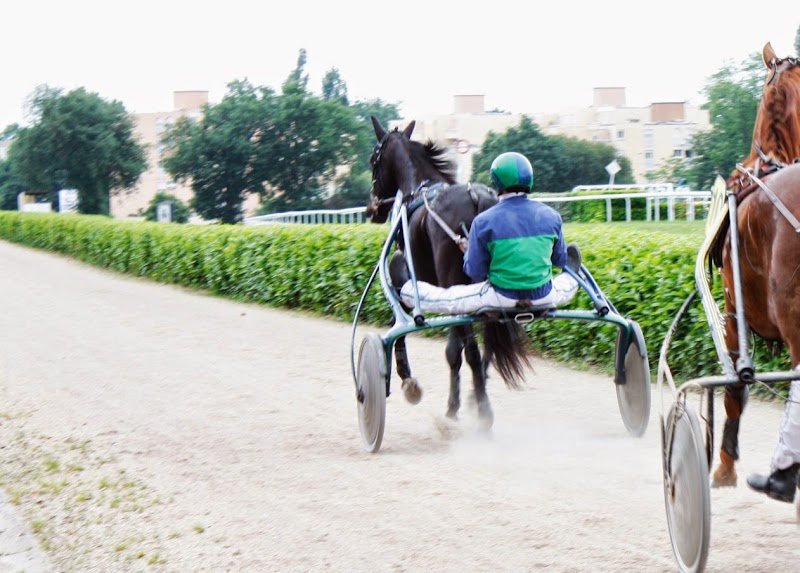 Earl Ecurie H.g. Houel