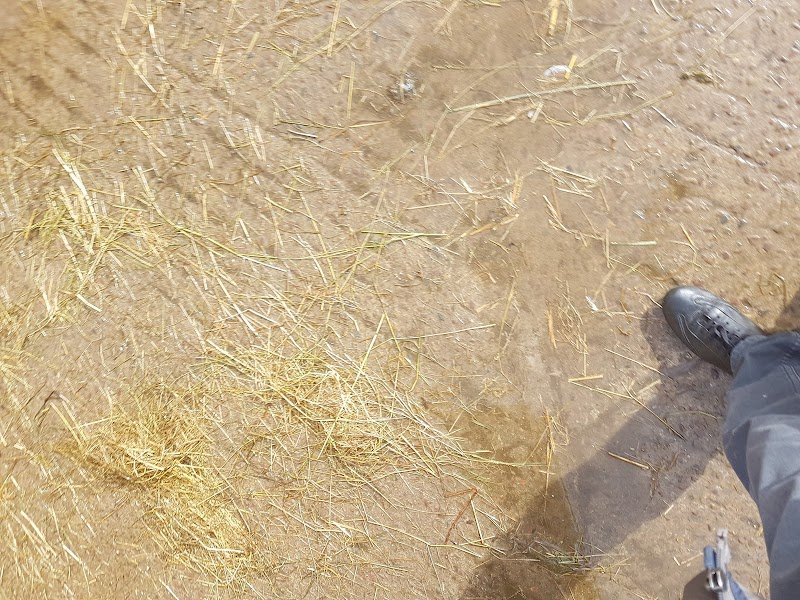 Earl Ecurie H.g. Houel - photo 2