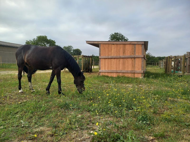 Ecurie D'Herouvillette - photo 1