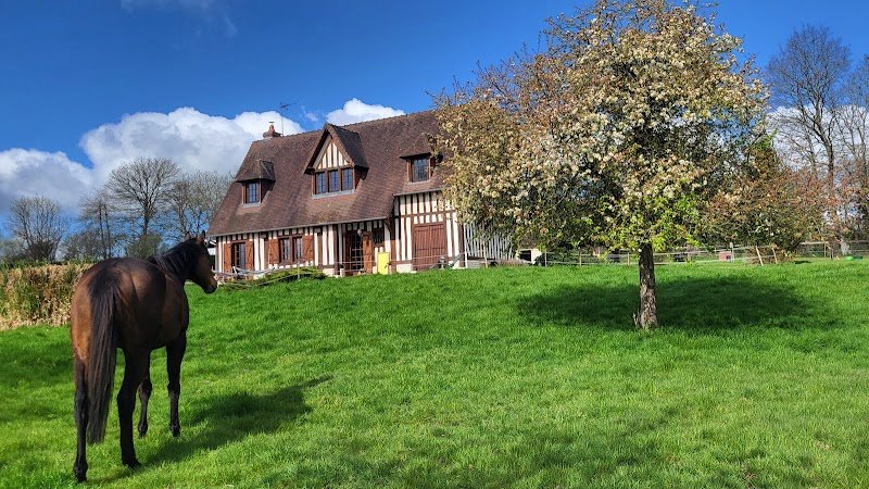 Relais équestre du Miloir - chambres d'hôtes - photo 1
