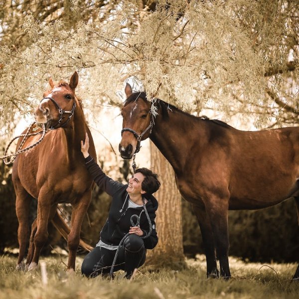 Relais équestre du Miloir - chambres d'hôtes - photo 3