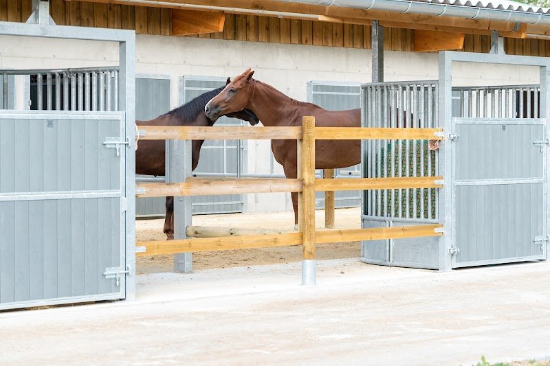 Haras de Glos - photo 1