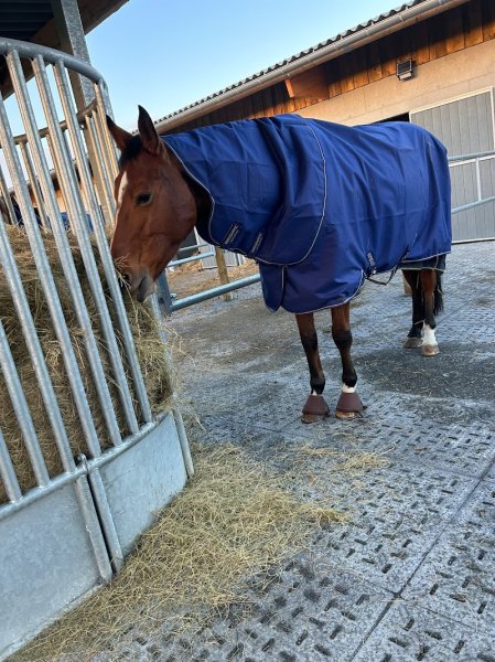 Haras de Glos - photo 2