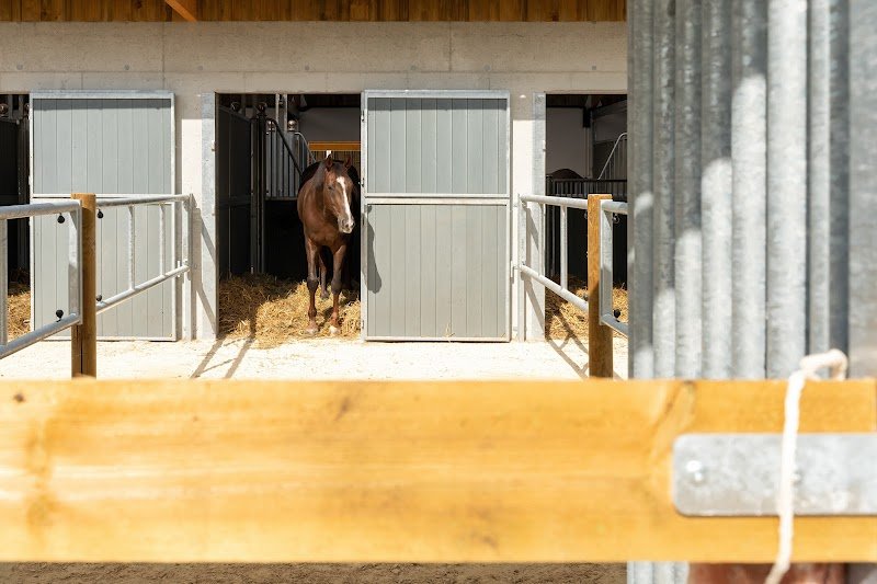 Haras de Glos - photo 3
