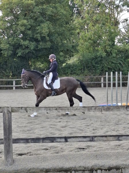 Ecuries de la Motte - photo 1