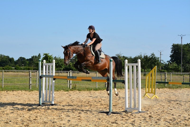 les ecuries du pressoir - photo 1