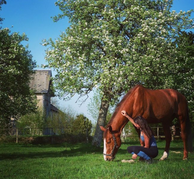 les ecuries du pressoir - photo 3