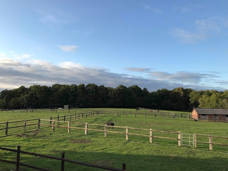 Haras la Jehannière - photo 2