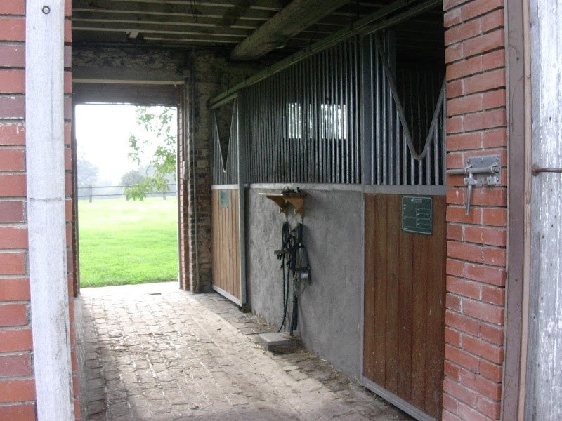 Haras la Jehannière - photo 3