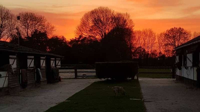 Haras de firfol - photo 1