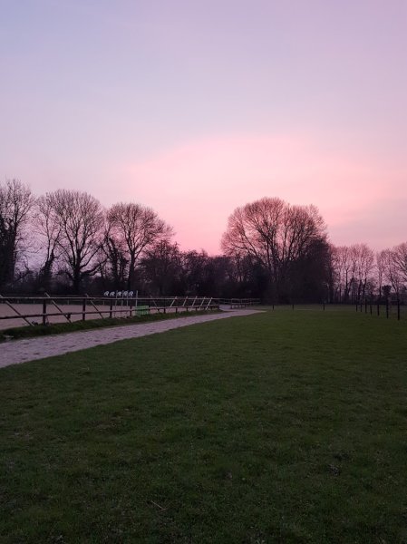 Haras de firfol - photo 2